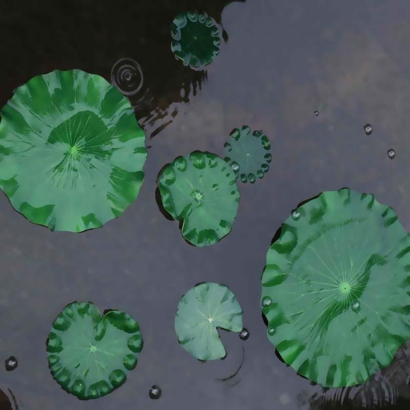 2026 Artificial Water Lily Lot - Fish Aquarium Home ulasan dan harga