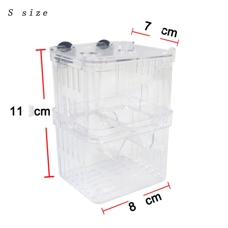 Peacock Fish Breeding Isolatio - Betta Fish Tank ulasan dan harga