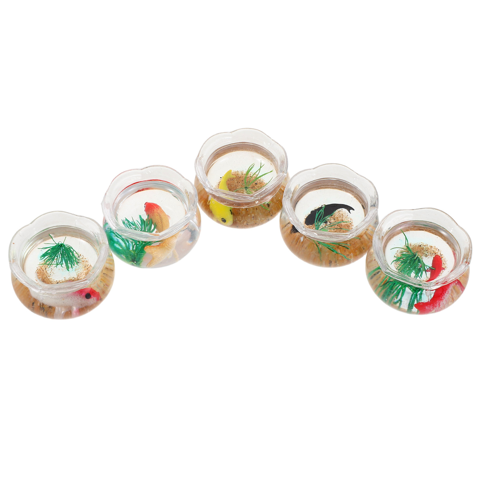 5pcs Mini Koi Fish Tank Set –  - Aquarium Plants ulasan dan harga