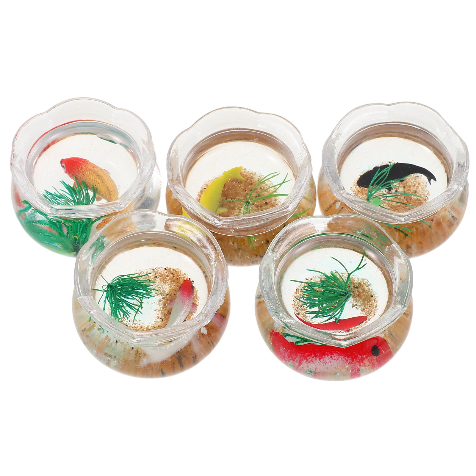 5pcs Mini Koi Fish Tank Set –  - Aquarium Plants ulasan dan harga